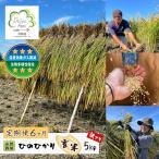 米 ヒノヒカリ 定期便6ヶ月 自然栽培 ひのひかり