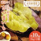 ふるさと納税 【2026年2月より順次発送】【訳あり】行方かんしょ「紅まさり」さつまいも約10kg(洗い・不揃い・C品)|さつまいも サツマイモ さ.. 茨城県行方市