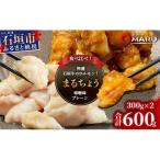 マルチョウ300g×2パック 秘伝の味噌味とプレーンの食べ比べセット