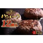 FKK19-997_あか牛入りハンバーグ100g×12個