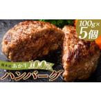FKK19-998_あか牛100%ハンバーグ 100g×5個