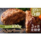 FKK19-999_ あか牛100%ハンバーグ 100g×5個