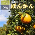 TM002-1 徳村のぽんかん Lー2Lサイズ