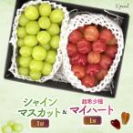 朝採れ シャインマスカット 1房 約800g