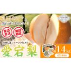 梨 愛宕梨 約1.4kg