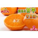 ショッピング甘平 ふるさと納税 愛媛みかん 訳あり 甘平 3kg 誉農園 高級 愛媛 限定 ブランド 品種 愛媛ミカン 愛媛蜜柑 みかん 蜜柑 mikan 高級柑橘 果物 くだ.. 愛媛県宇和島市