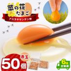 赤玉アスタキサンチン卵 50個