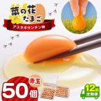 赤玉アスタキサンチン卵 50個