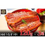 ふるさと納税 うなぎ蒲焼 120g×3尾(360g) うなぎ ウナギ 鰻 蒲焼 蒲焼き冷凍 国産 大五 大五通商 静岡 島田市 静岡県島田市