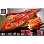 ふるさと納税 うなぎ蒲焼 200g×3尾(600g) うなぎ ウナギ 鰻 蒲焼 蒲焼き冷凍 国産 大五 大五通商 静岡 島田市 静岡県島田市