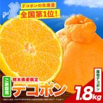 デコポン 露地 1.8kg