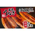 ふるさと納税 【 訳アリ 】【レビューキャンペーン】 国産うなぎ 蒲焼き 5尾 セット ( 640g 以上) 大きさ の不揃い 山椒付き ウナギ 鰻 ふぞろ.. 茨城県八千代町