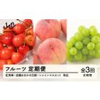 ふるさと納税 【先行予約】【定期便】フルーツ定期便 全3回 さくらんぼ 紅秀峰 白桃 葡萄 ぶどう ブドウ シャインマスカット tf-ft3shb ※沖縄・.. 山形県山辺町