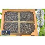 fu.... налог [ предшествующий прием ] сельское хозяйство .. обработка для голубика примерно 2kg размер .. Hokkaido . дерево блок производство фрукты фрукты вид фрукты . дерево [ Kobayashi доверие .] Hokkaido . дерево блок 