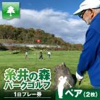 糸井の森 1日プレー券 ペア T061-001