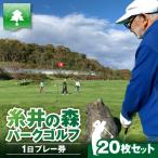 糸井の森 1日プレー券 20枚セット T061-003