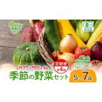野菜詰合せ 季節の野菜 有機栽培 無農薬 千代田ファーム
