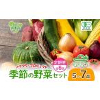野菜詰合せ 季節の野菜 有機栽培 無農薬 千代田ファーム