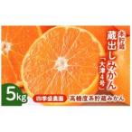 ふるさと納税 四季盛農園の本貯蔵 蔵出しみかん5Kg　【1月中旬頃から順次発送】【1581525】 大阪府和泉市