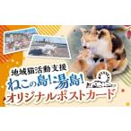 ねこの島 湯島 オリジナルポストカード 猫