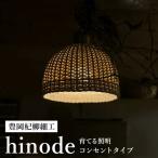 豊岡杞柳細工 育てる照明 hinode 照明金具
