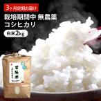 コシヒカリ 3回 栽培期間中 無農薬 白米