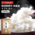 イクヒカリ 6回 栽培期間中 減農薬 白米