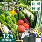 旬の朝採れ 新鮮野菜セット 野菜 7~10品