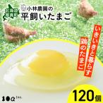 平飼い有精卵 120個