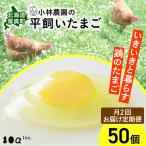 平飼い有精卵 50個