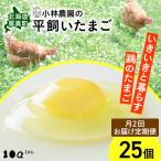 平飼い有精卵 25個