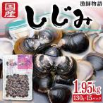 しじみ 漁師物語 15パック