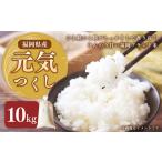 ブランド米 元気つくし 10kg