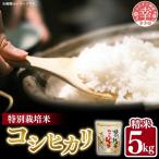 令和6年度産 コシヒカリ 5kg
