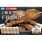 ご褒美手羽唐揚げ 20本