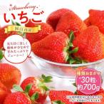 産いちご 30粒