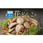 大分産しいたけ花どんこ 250g
