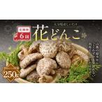 大分産しいたけ花どんこ 250g