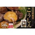 大分産椎茸こうしん 540g
