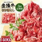 おおいた豊後牛 牛肉 切り落とし 400g