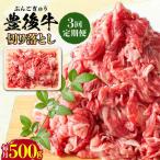 おおいた豊後牛 牛肉 切り落とし 500g