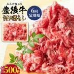おおいた豊後牛 牛肉 切り落とし 500g