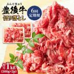 おおいた豊後牛 牛肉 切り落とし 1kg