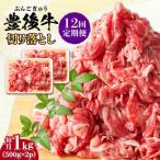 おおいた豊後牛 牛肉 切り落とし 1kg