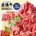 おおいた豊後牛 牛肉 切り落とし 1.2kg