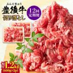 おおいた豊後牛 牛肉 切り落とし 1.2kg