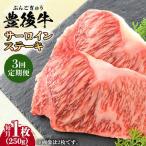 牛肉 サーロイン 全3回定期便 おおいた豊後牛