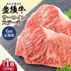 牛肉 サーロイン 全6回定期便 おおいた豊後牛