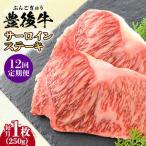 牛肉 サーロイン 全12回定期便 おおいた豊後牛