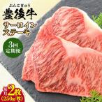 牛肉 サーロイン 全3回定期便 おおいた豊後牛